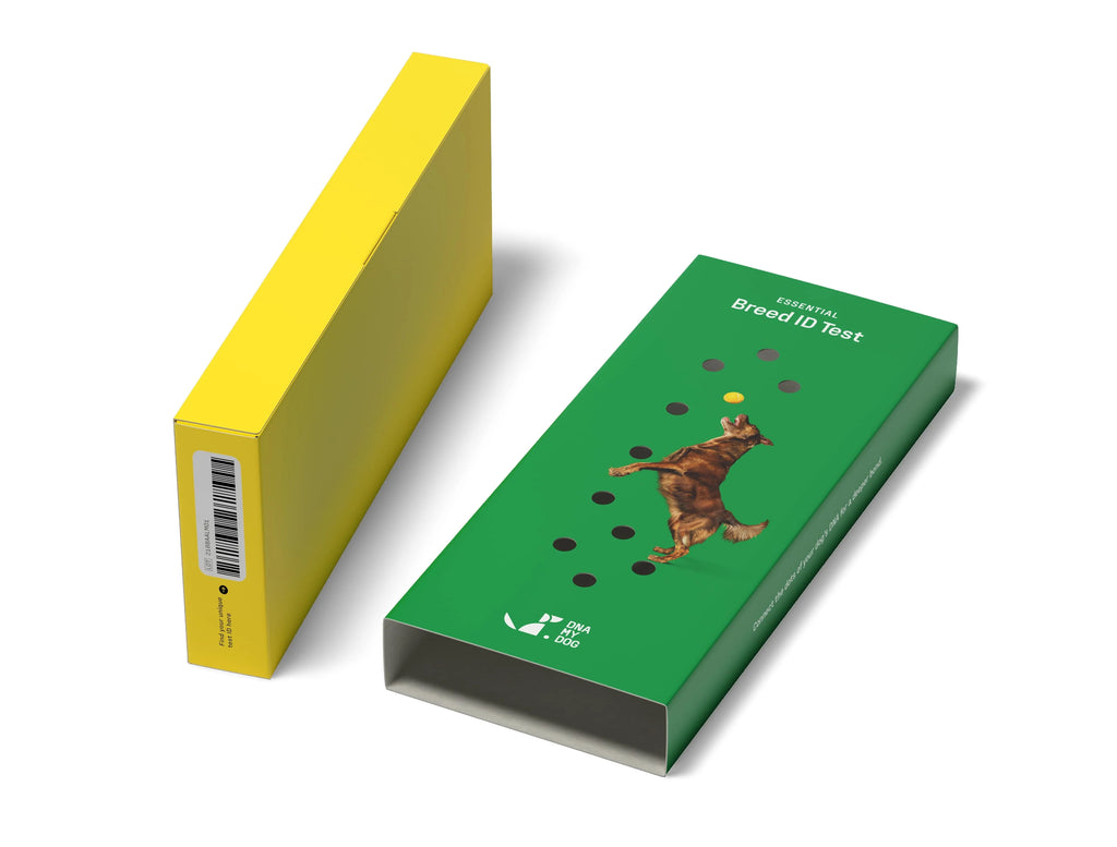 Dog Breed ID Testing Kit U406495