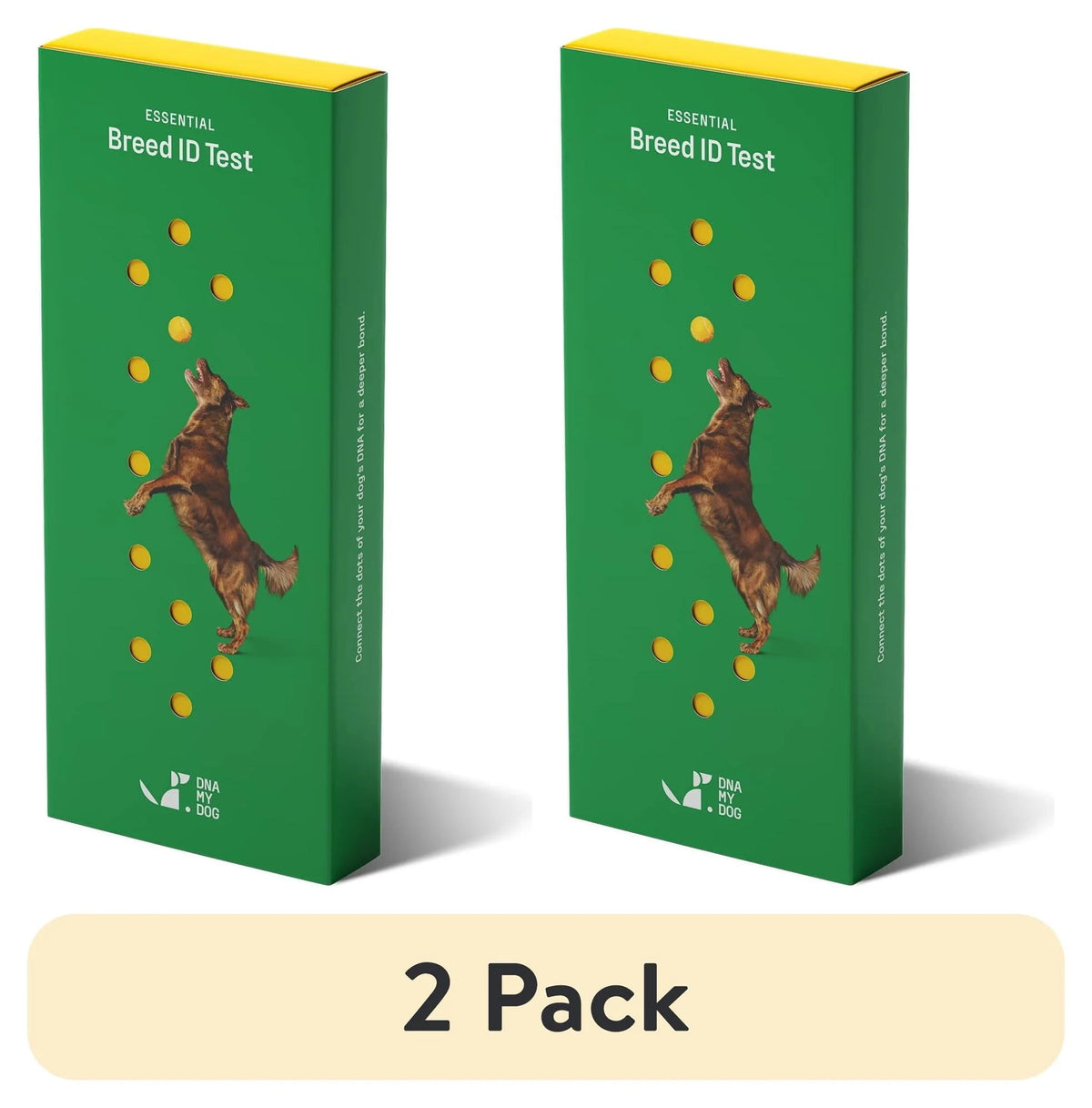 Dog Breed ID Testing Kit U406495