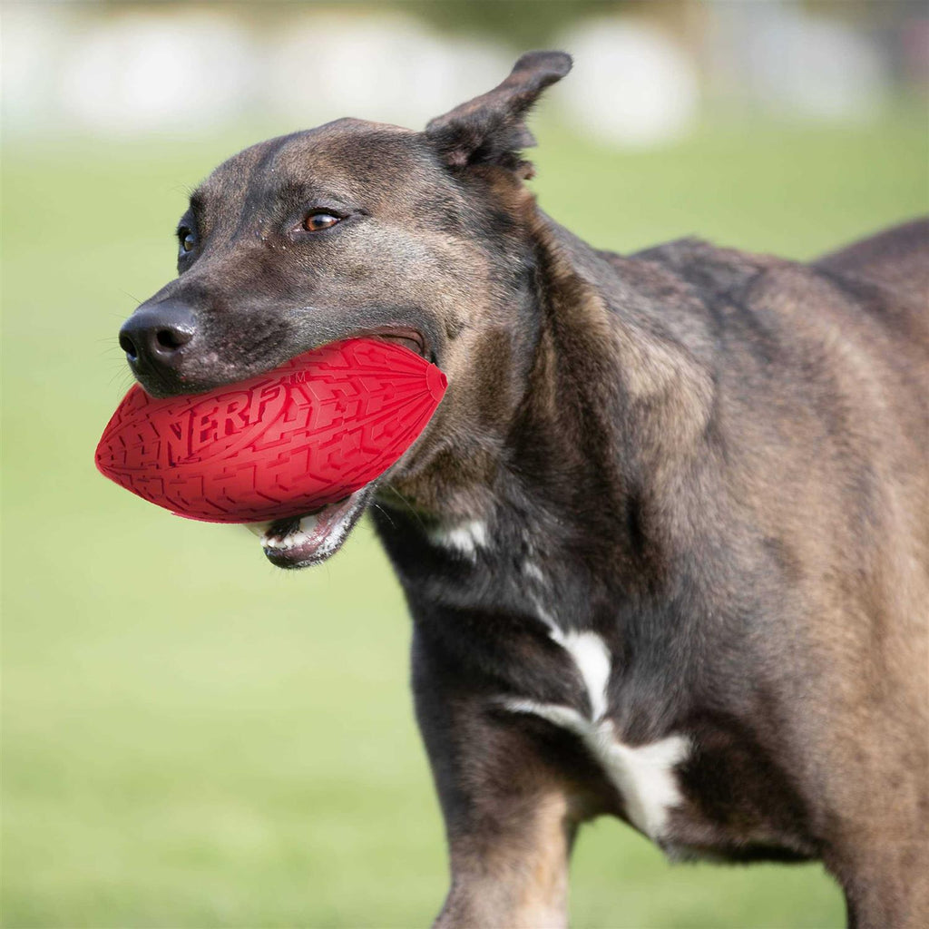 Dog Toy U95585