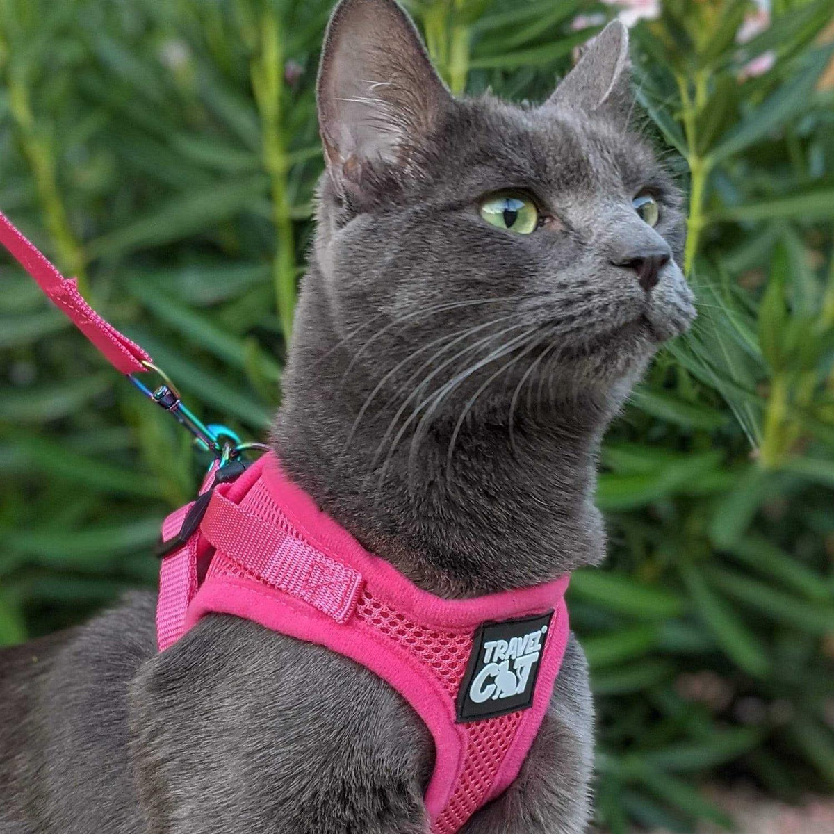 Reflective Cat & Kitten Harness and Leash X835