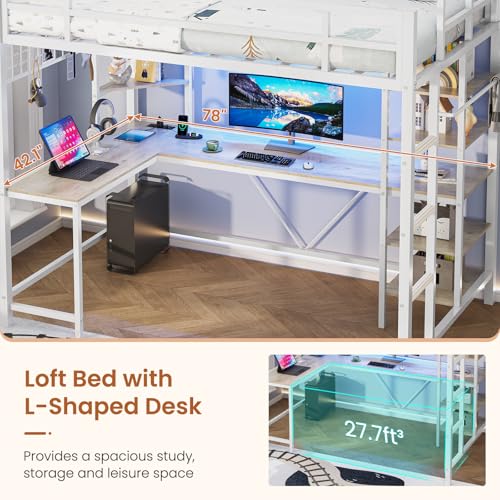 Twin Size Black Metal Loft Bed with Desk and Storage Shelves D52000