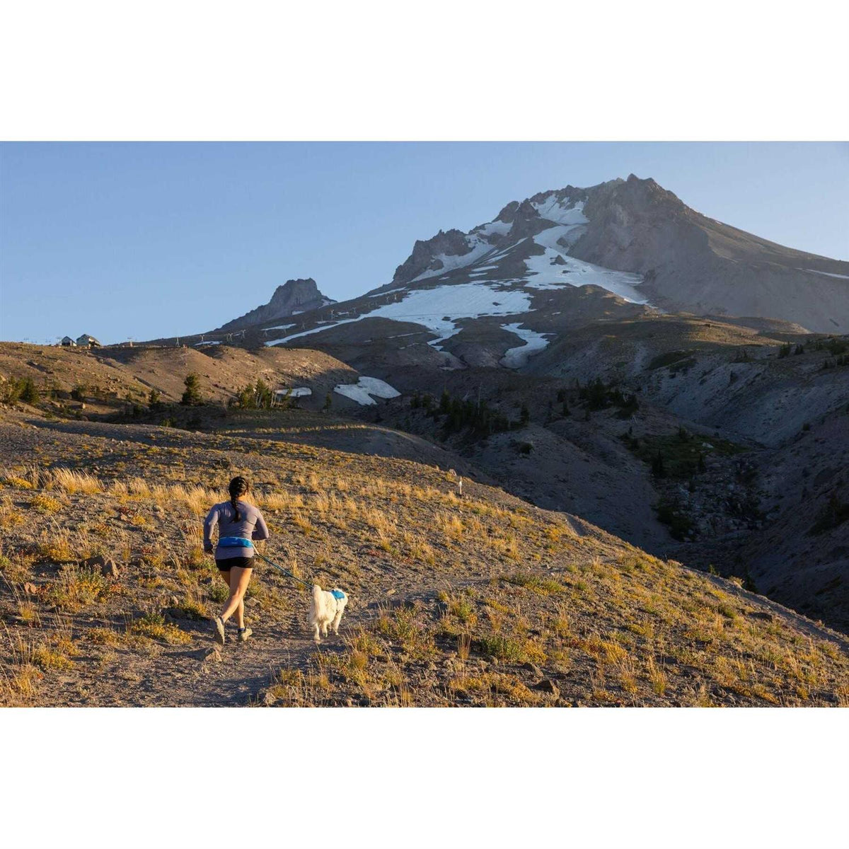 Trail Runner Belt D1737