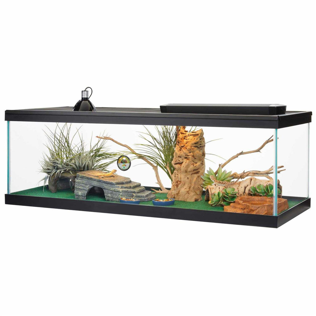 Standard Glass Rectangle Aquarium S338468
