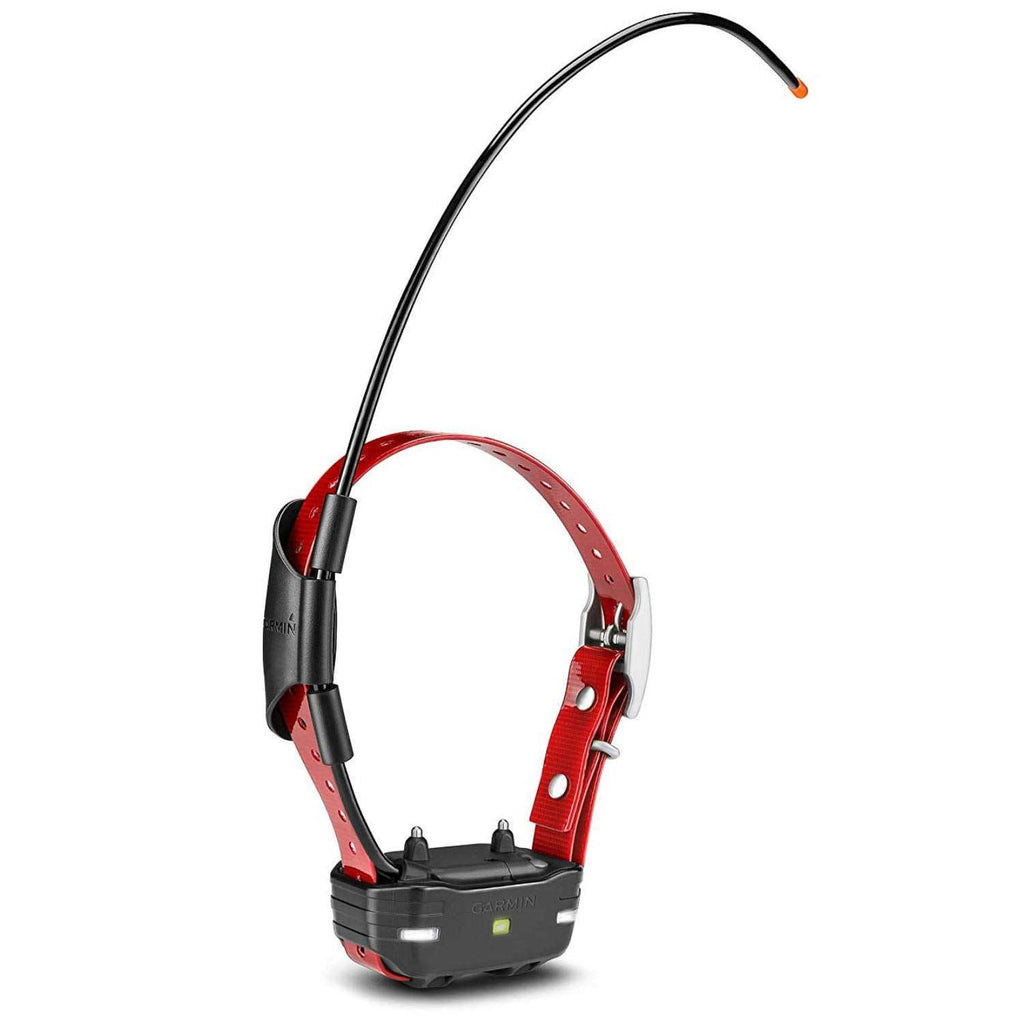 Dog Device B62122