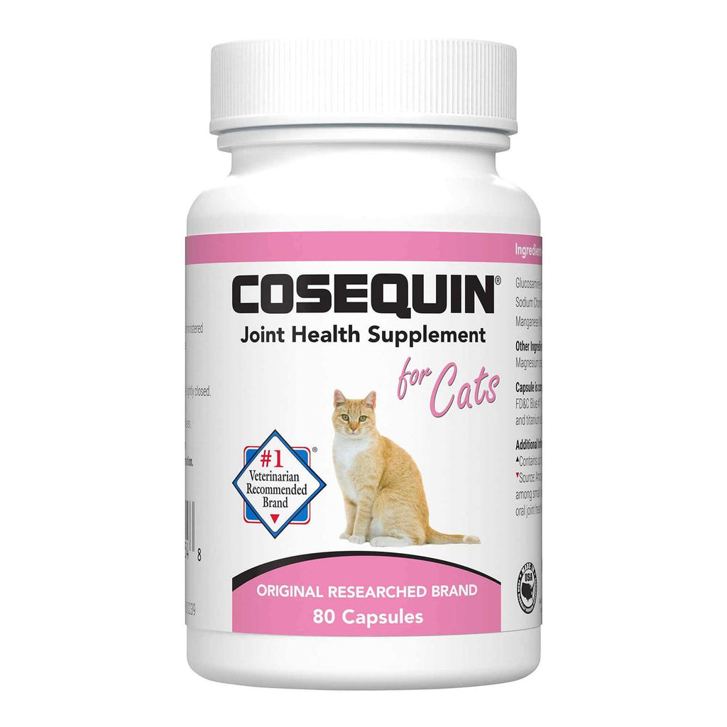 Cats Pet Supplies U835878