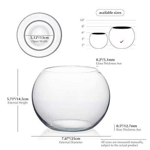 Clear Bubble Bowl Glass Vase U232980