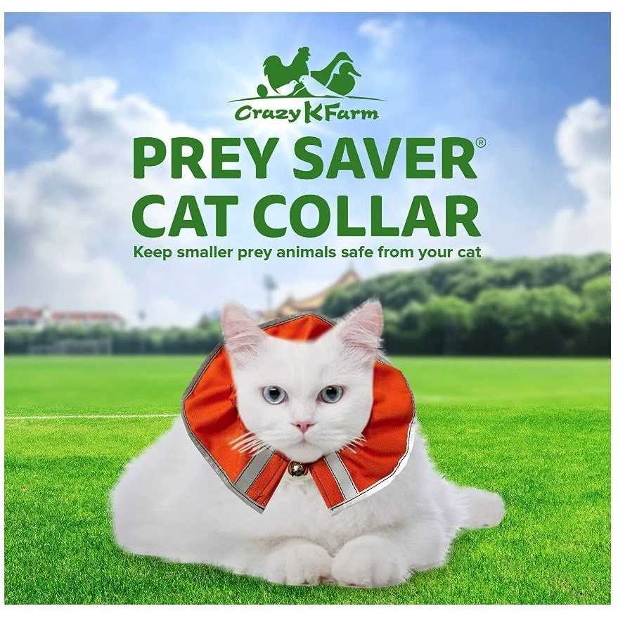 Cat Collar K82079