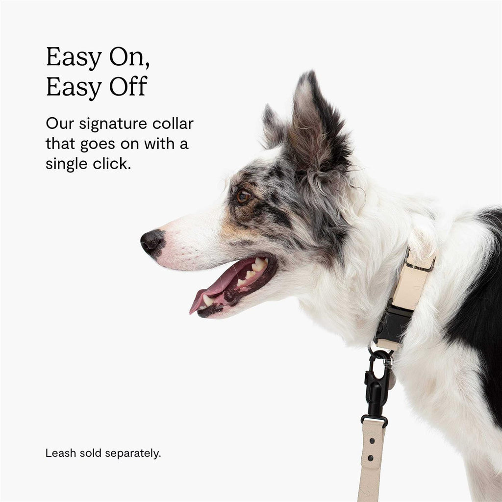 Dog Collar E641