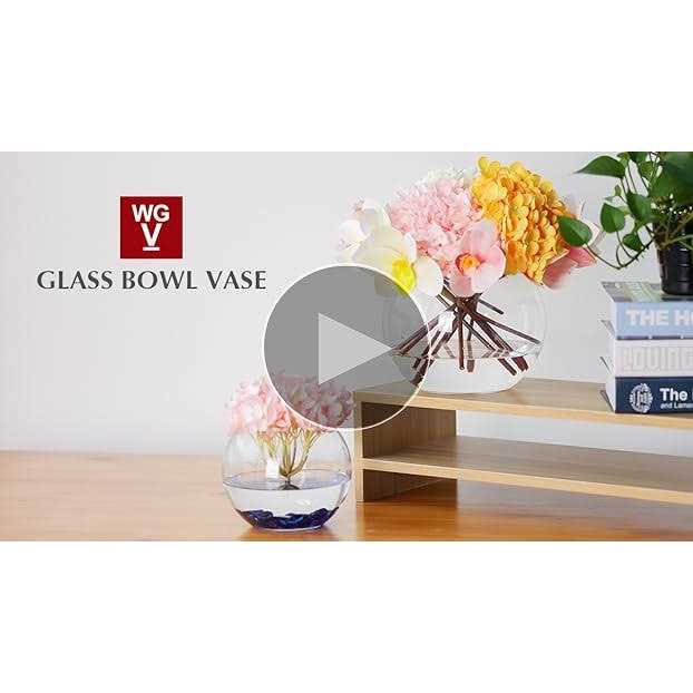 Clear Bubble Bowl Glass Vase U232980