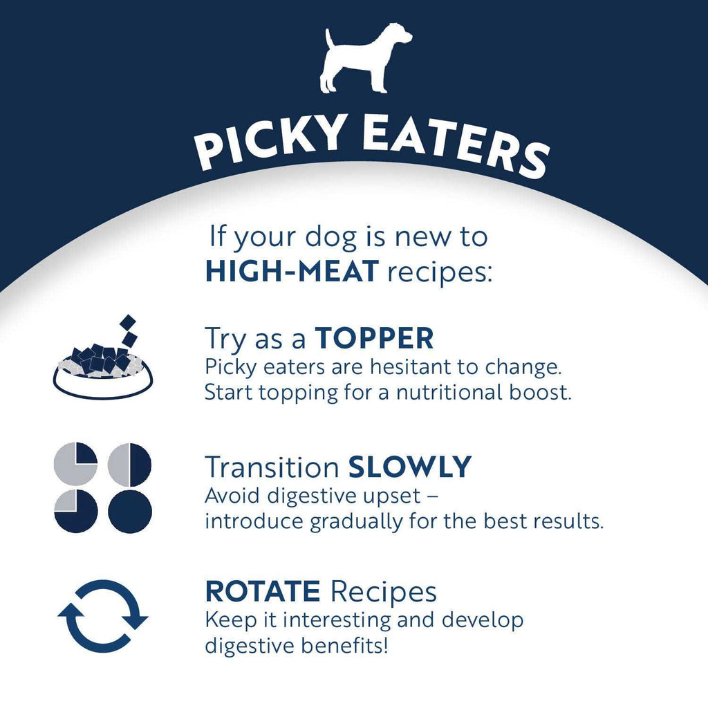 Canned Dog Food U616402