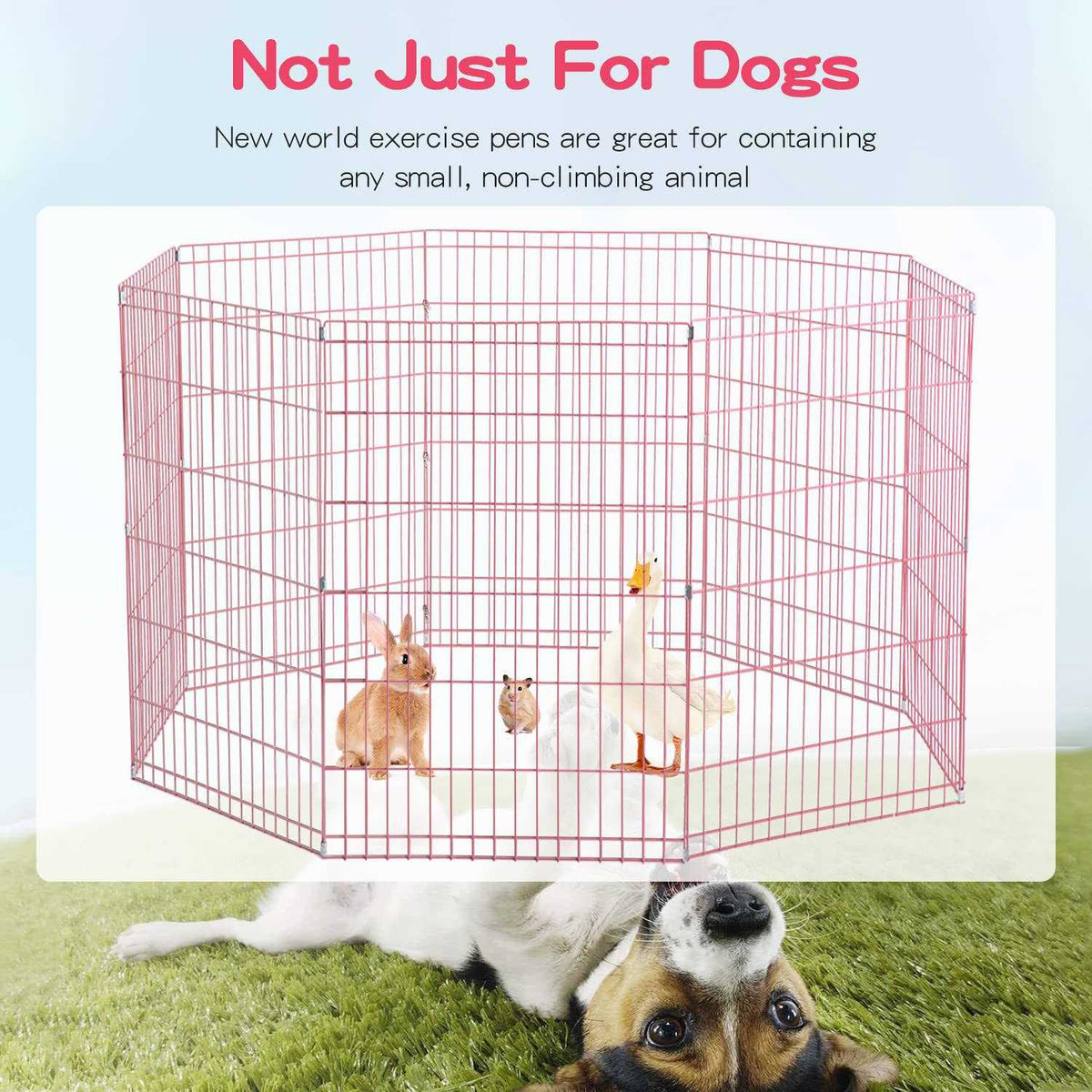 8 Panel Dog Playpen B6798