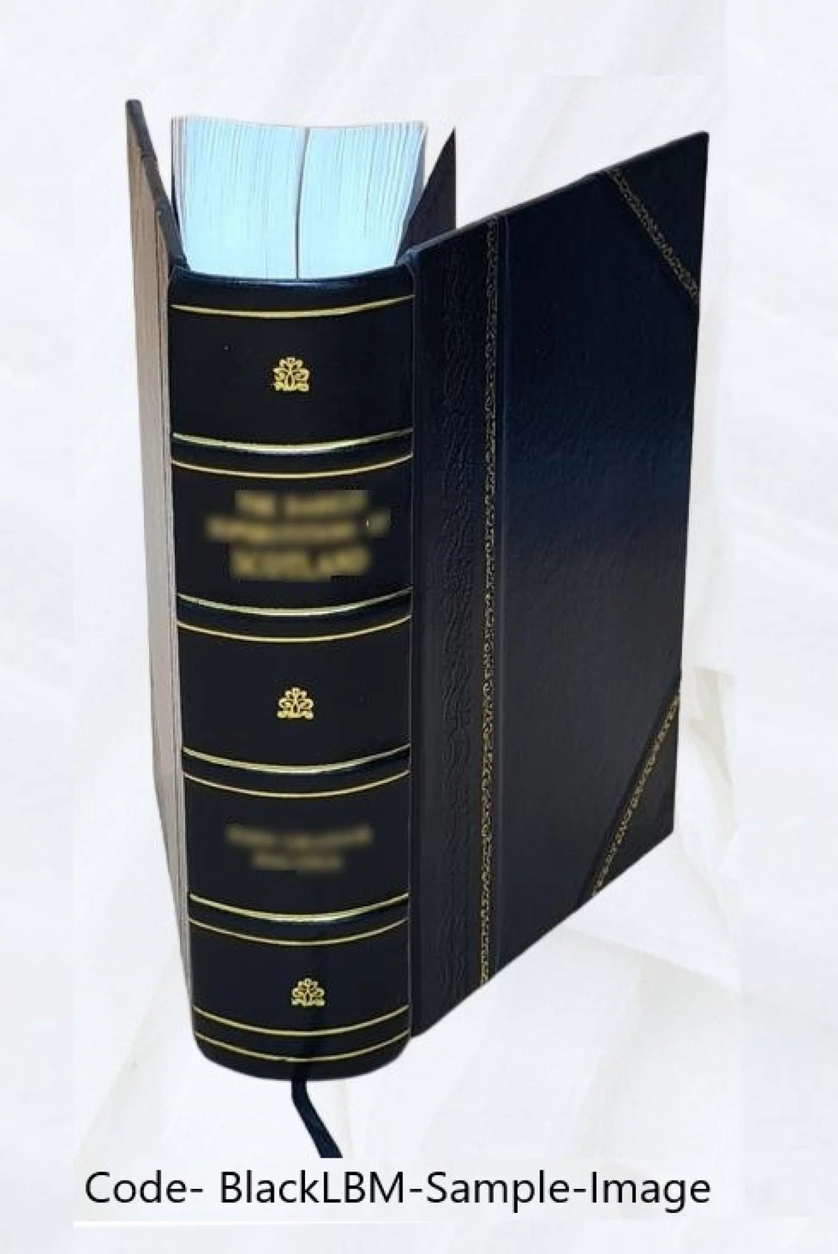 General History of Voyages L456443