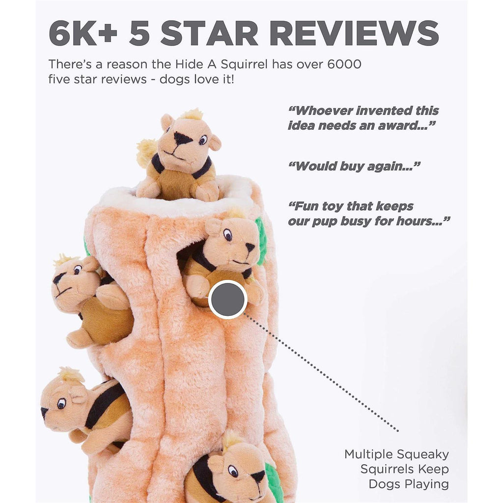 Hide A Squirrel Dog Toy X492336