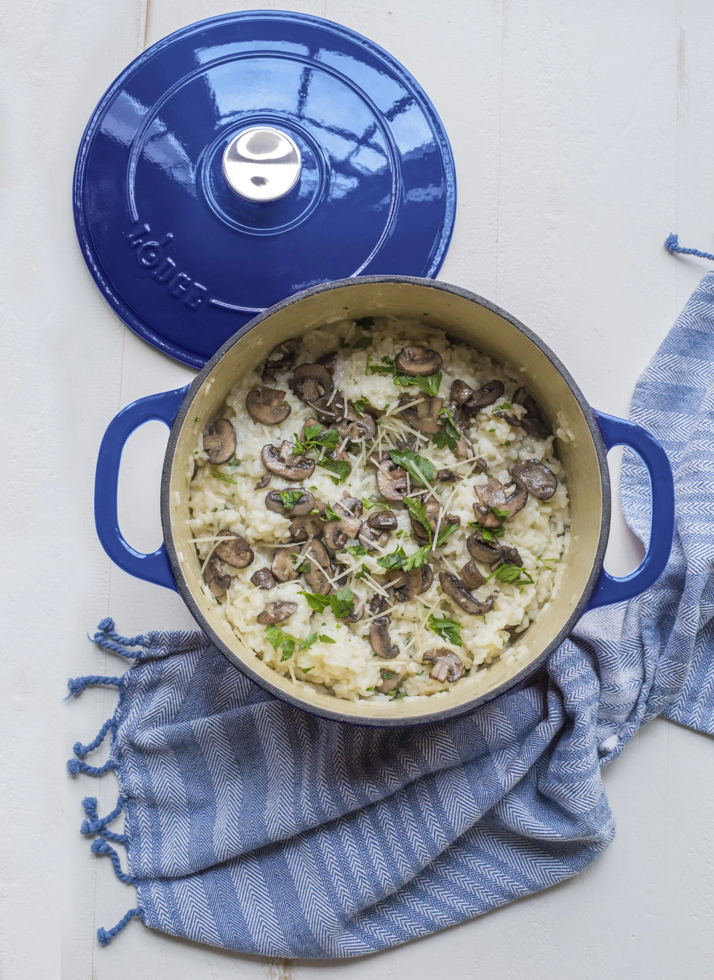 5.5 Quart Enameled Cast Iron Dutch Oven Q634