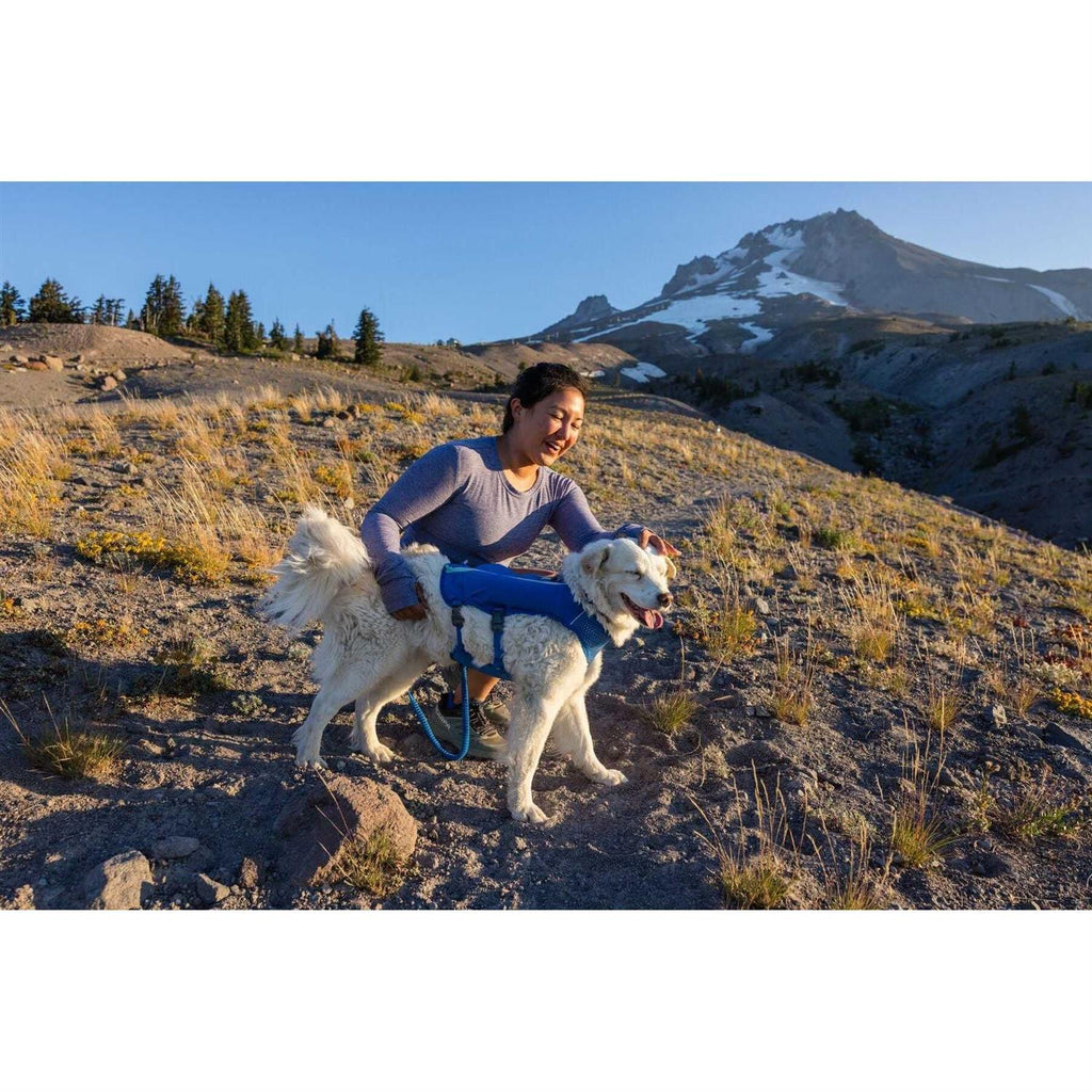 Trail Runner Belt D1737