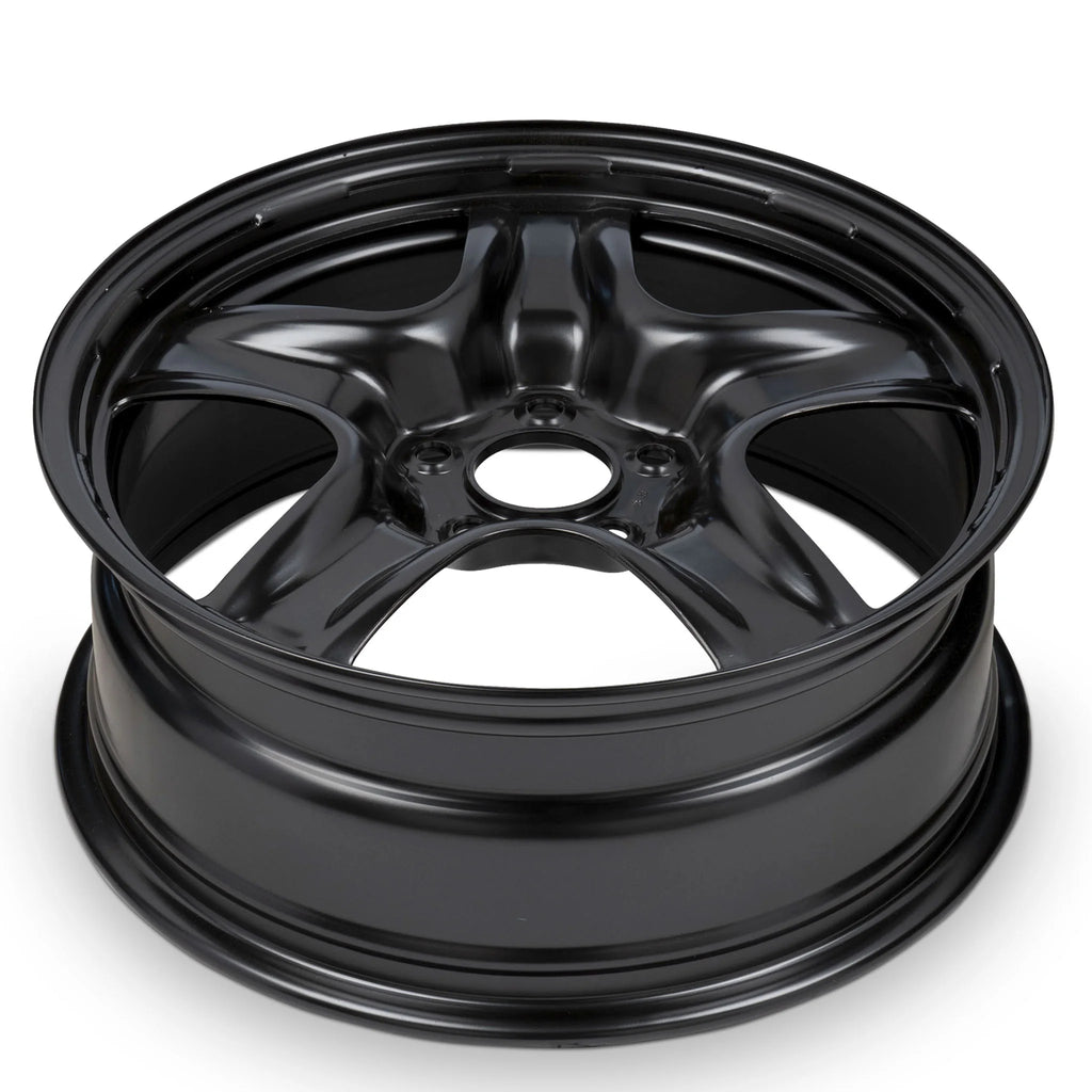 17 Inch Painted Black Rim J545501