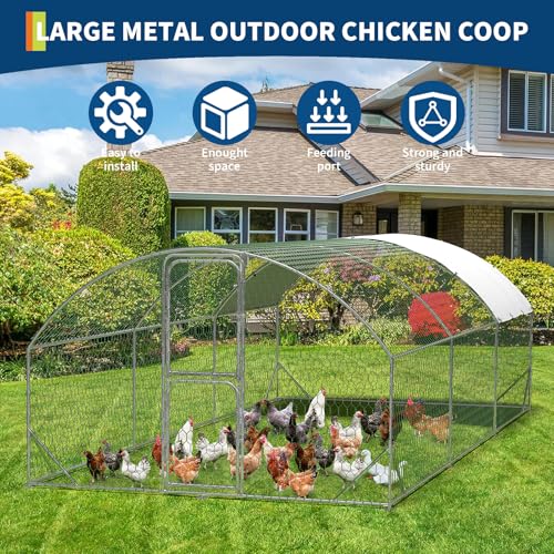 Large Metal Chicken Coop Run with Cover Y190049