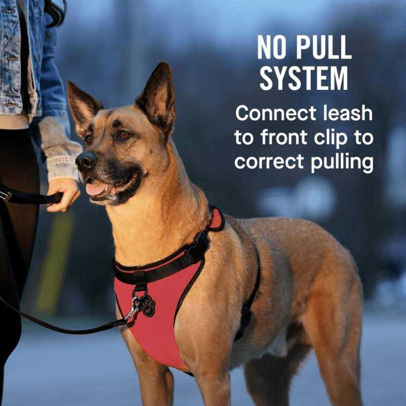 Dog Harness T120659
