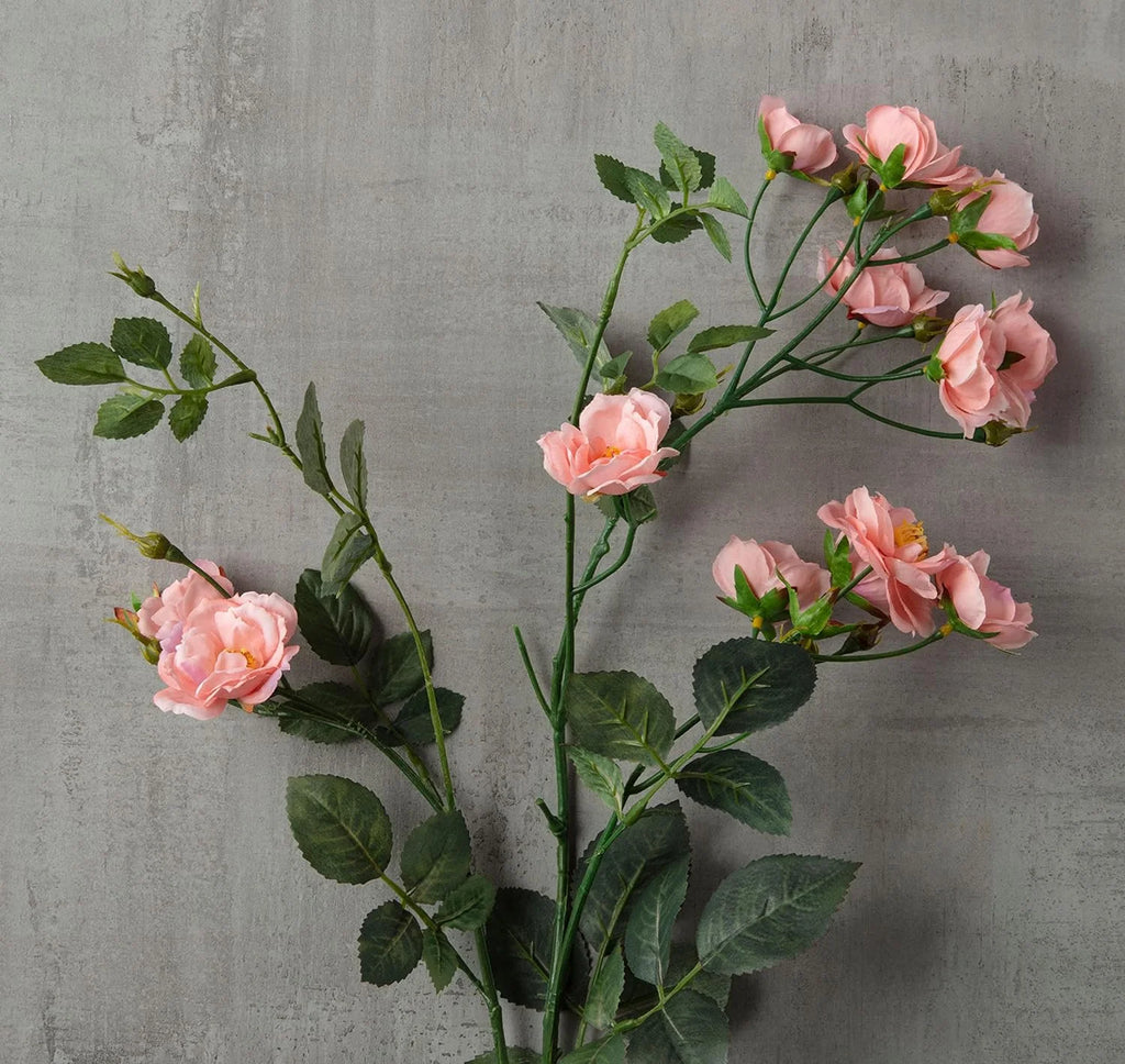 Kate Rose Spray G4853