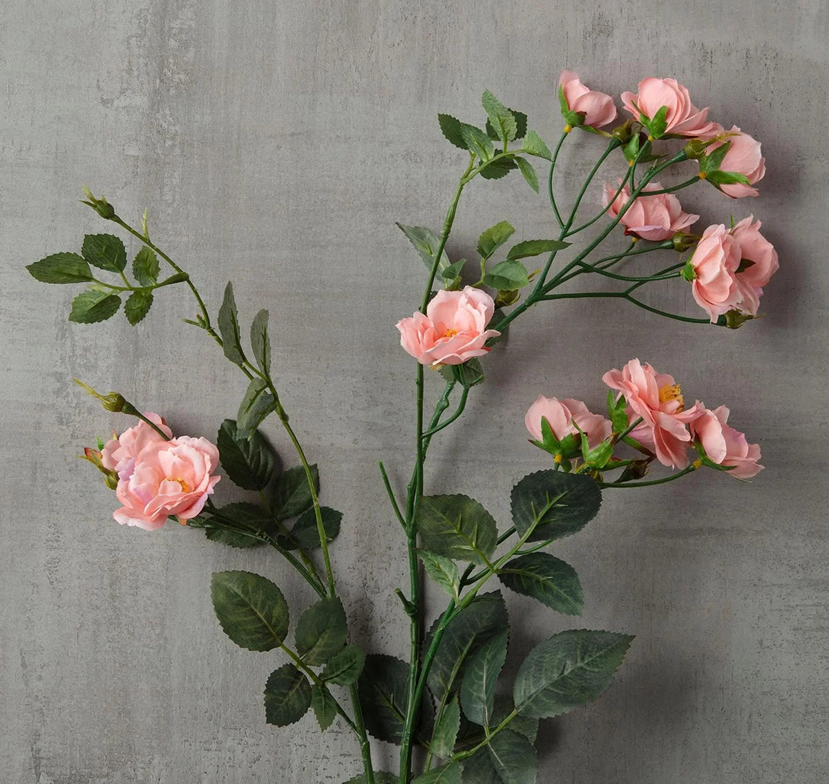 Kate Rose Spray G4853