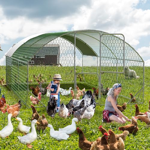 Large Metal Chicken Coop Run with Cover Y190049