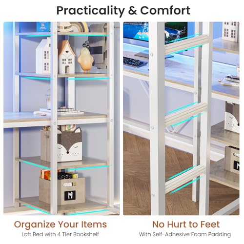 Twin Size Black Metal Loft Bed with Desk and Storage Shelves D52000