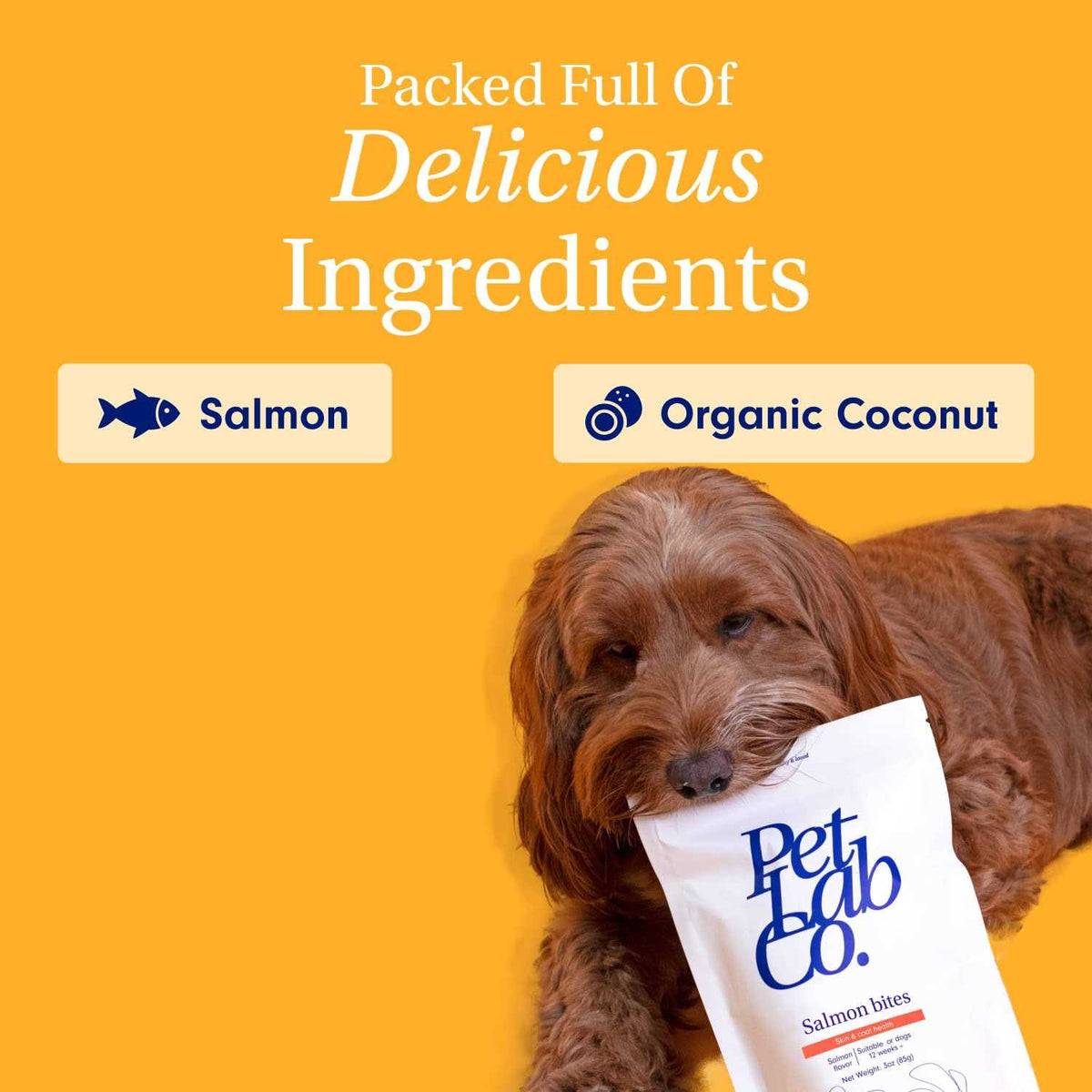 Salmon Bites Dog Treats O2470