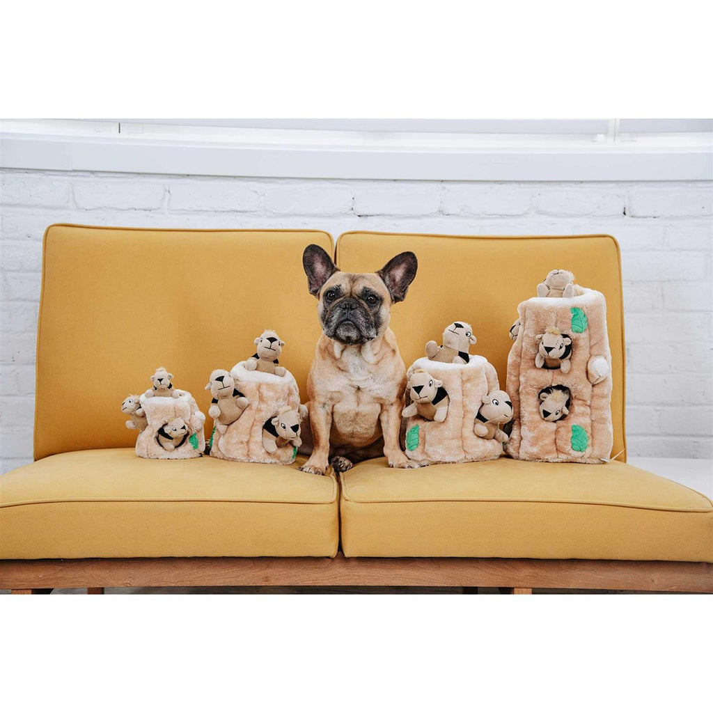 Hide A Squirrel Dog Toy X492336