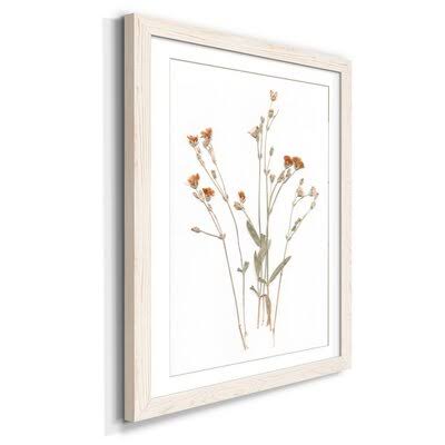 Pressed Botanical I Print White 32x22 T46077