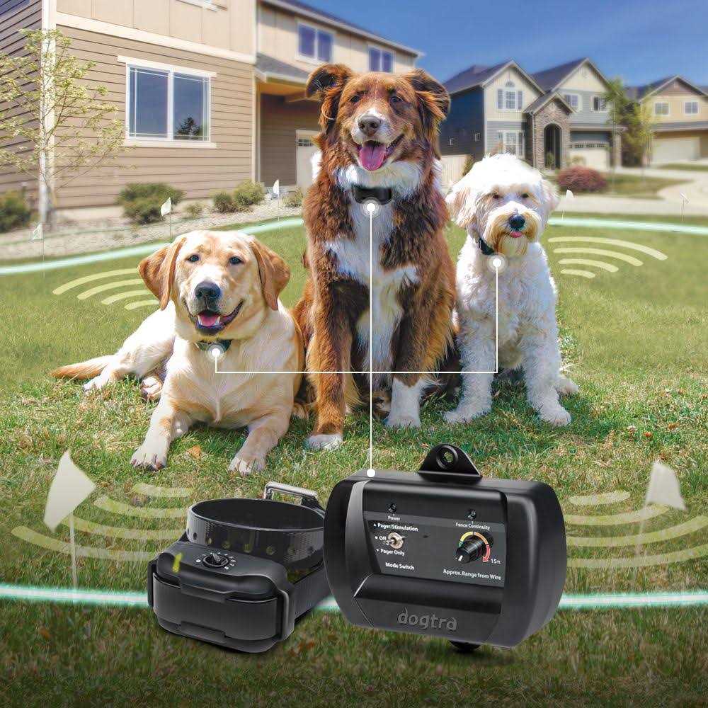 Dogtra E Fence 3500 W8745