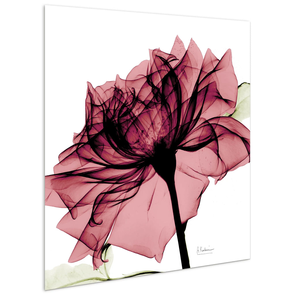 Tempered Glass Panel Wall Art, 24" x 24" K800