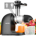 Slow Masticating Cold Press Juicer R65185