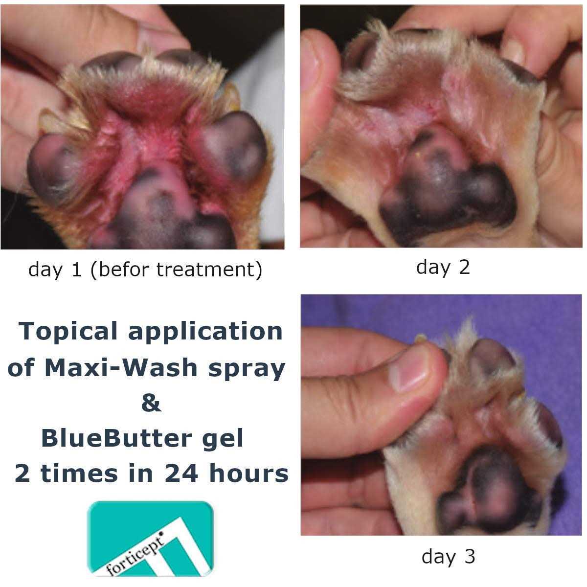 Blue Hot Spot Treatment for Dogs & Cats A839186