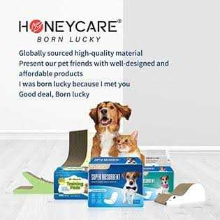 Dog and Puppy Training Pads Y22589
