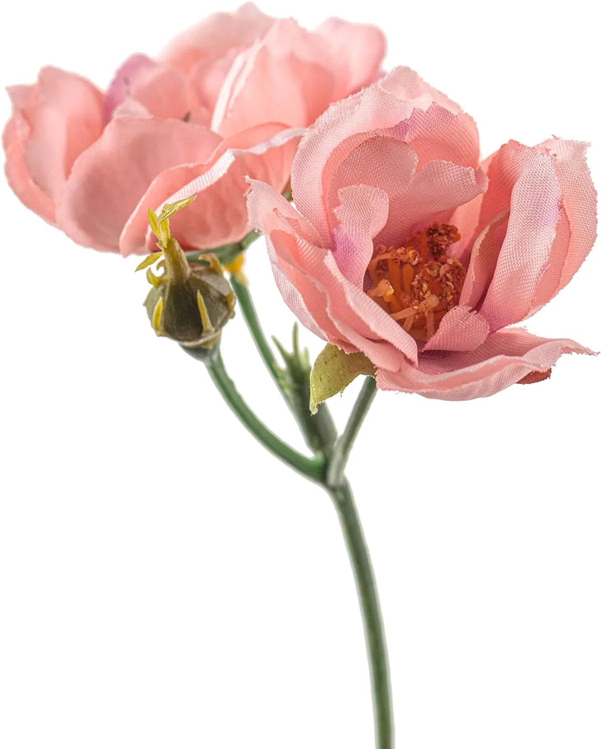 Kate Rose Spray G4853
