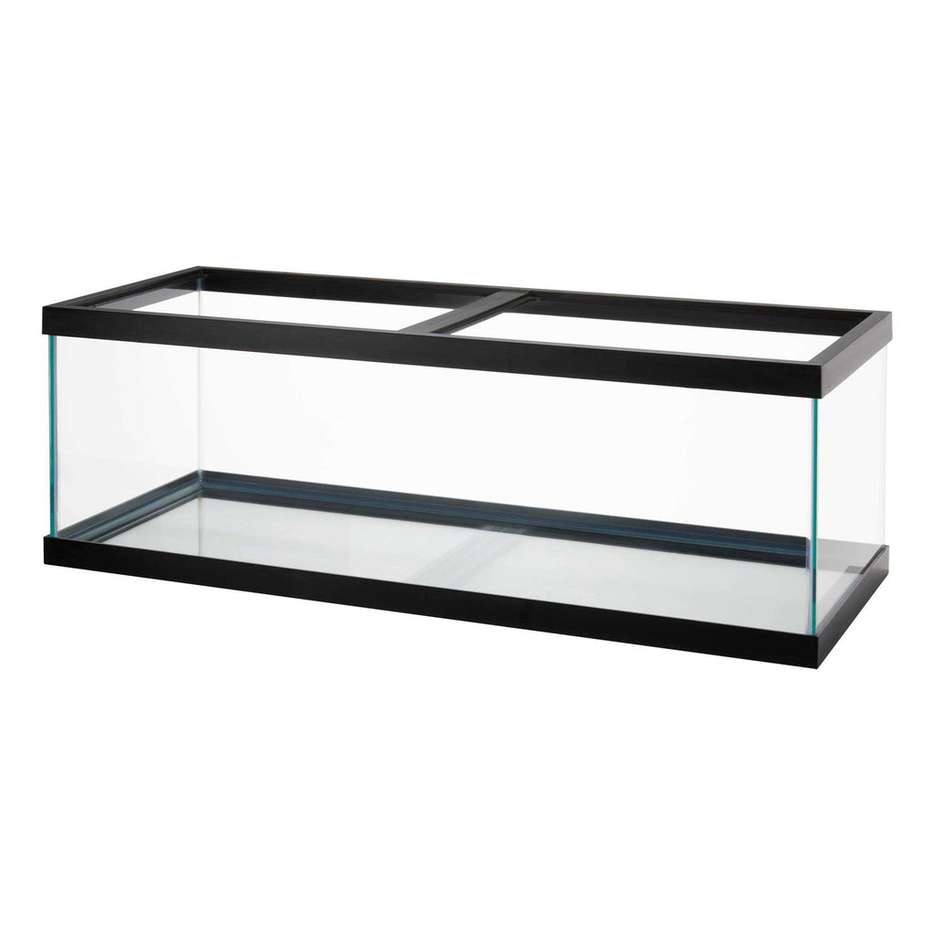 Standard Glass Rectangle Aquarium S338468