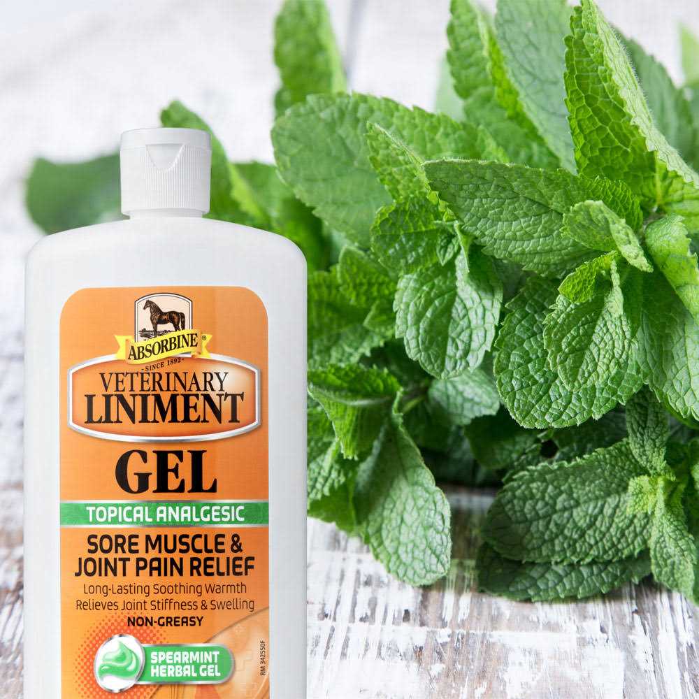 Veterinary Liniment Gel I76777