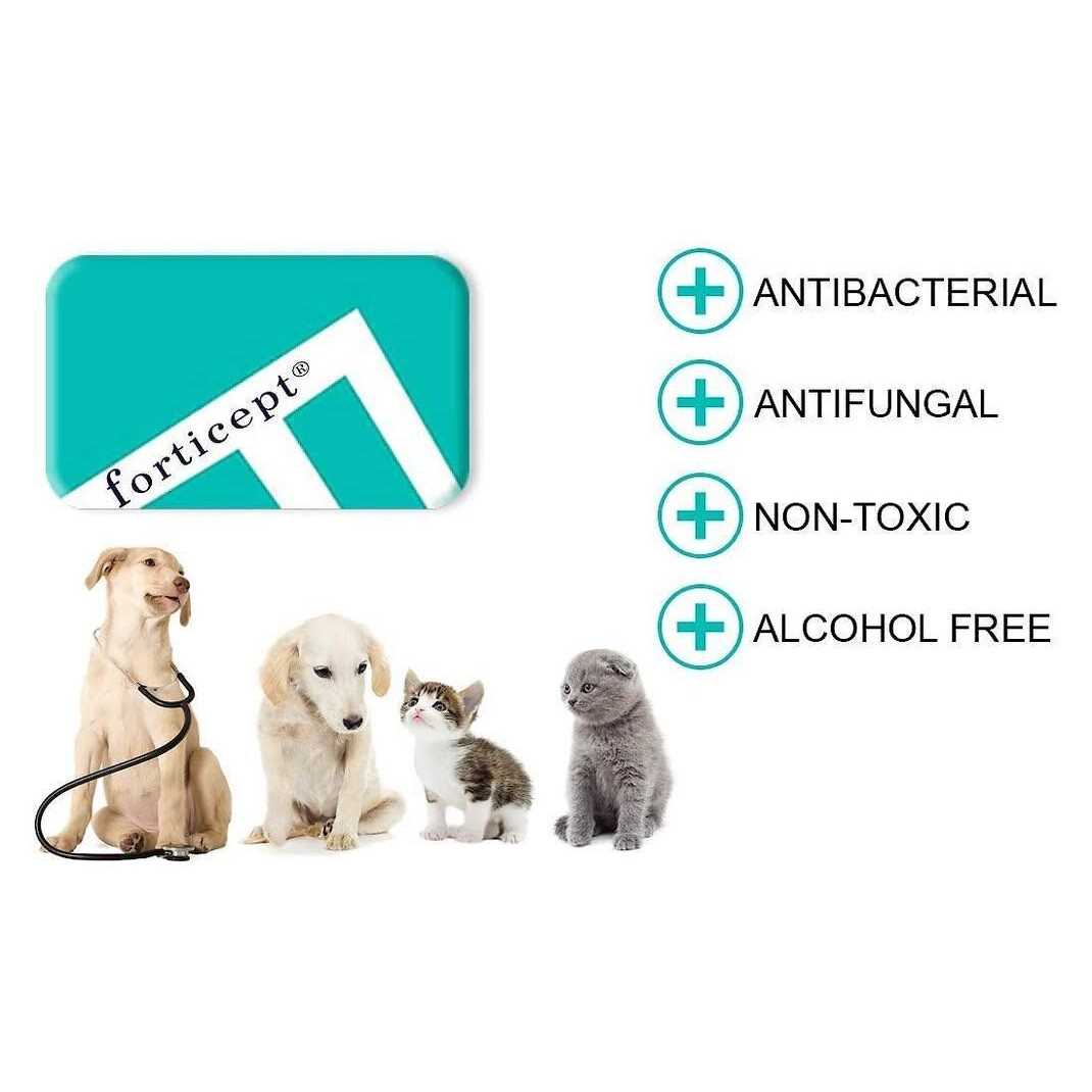 Blue Hot Spot Treatment for Dogs & Cats A839186
