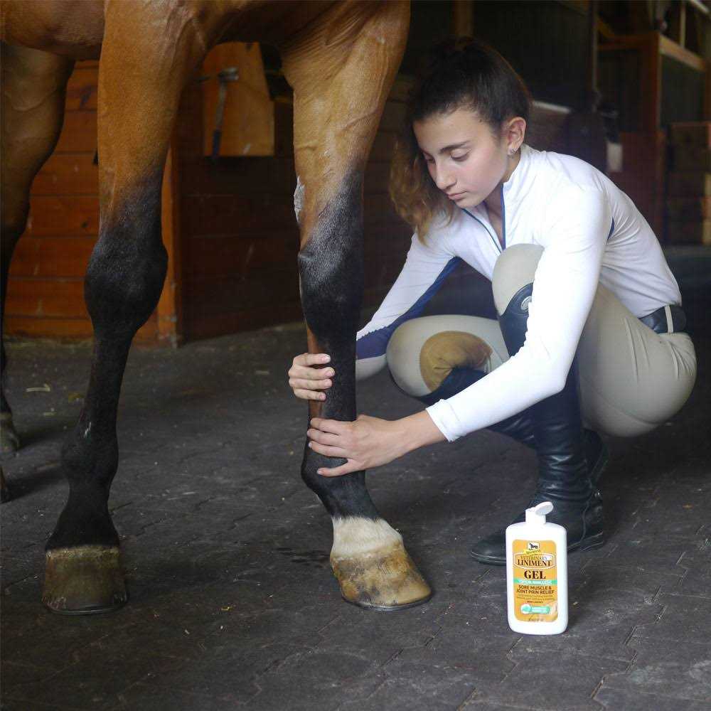 Veterinary Liniment Gel I76777