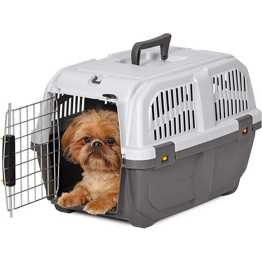 Plastic Travel Carrier Q489272