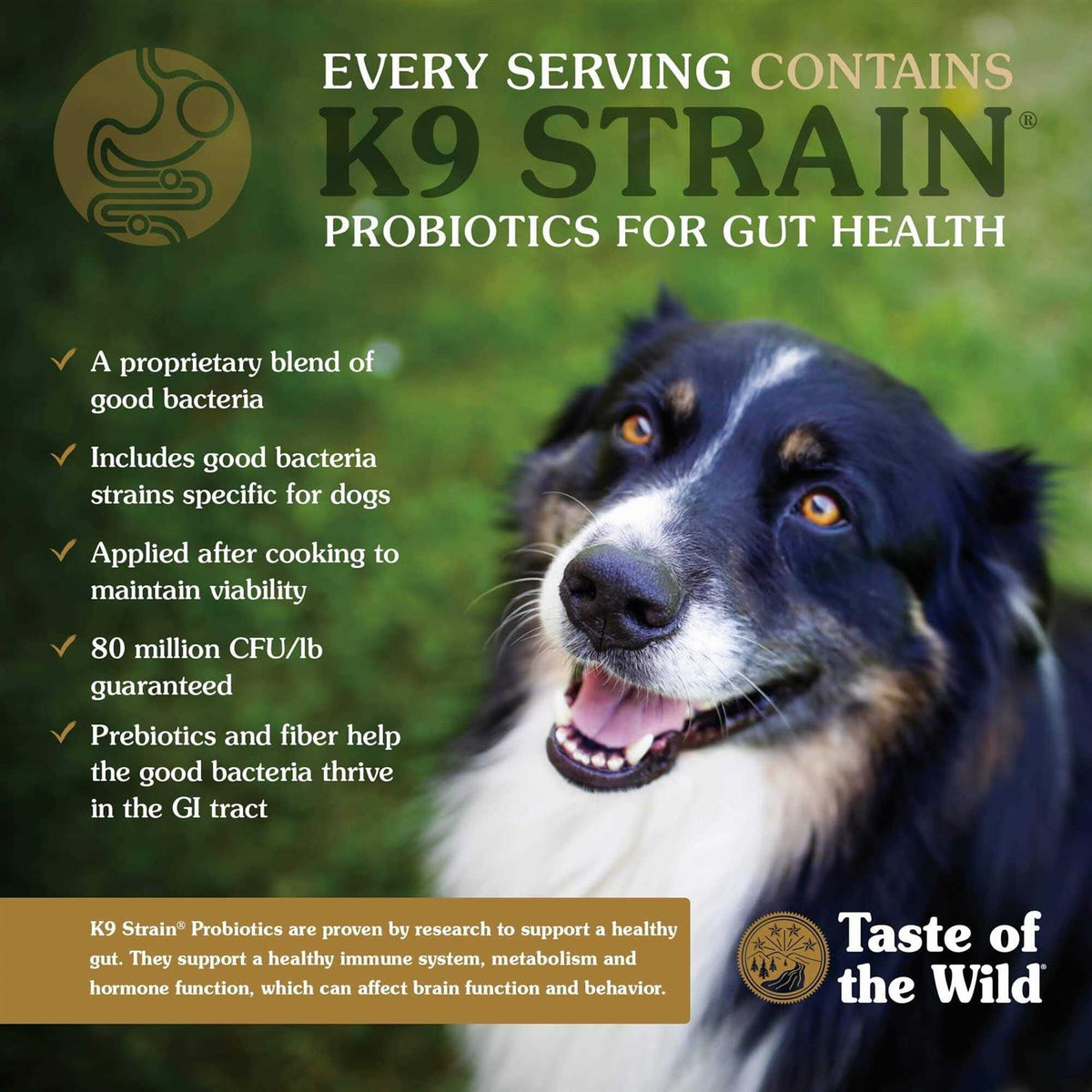 Ancient Prairie Dog Food F56968