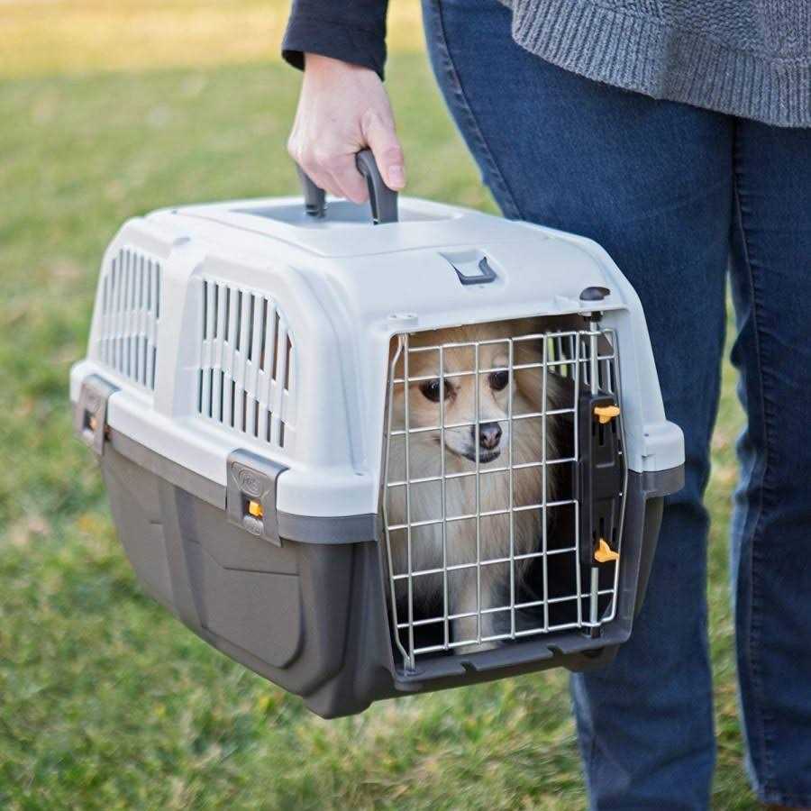 Plastic Travel Carrier Q489272