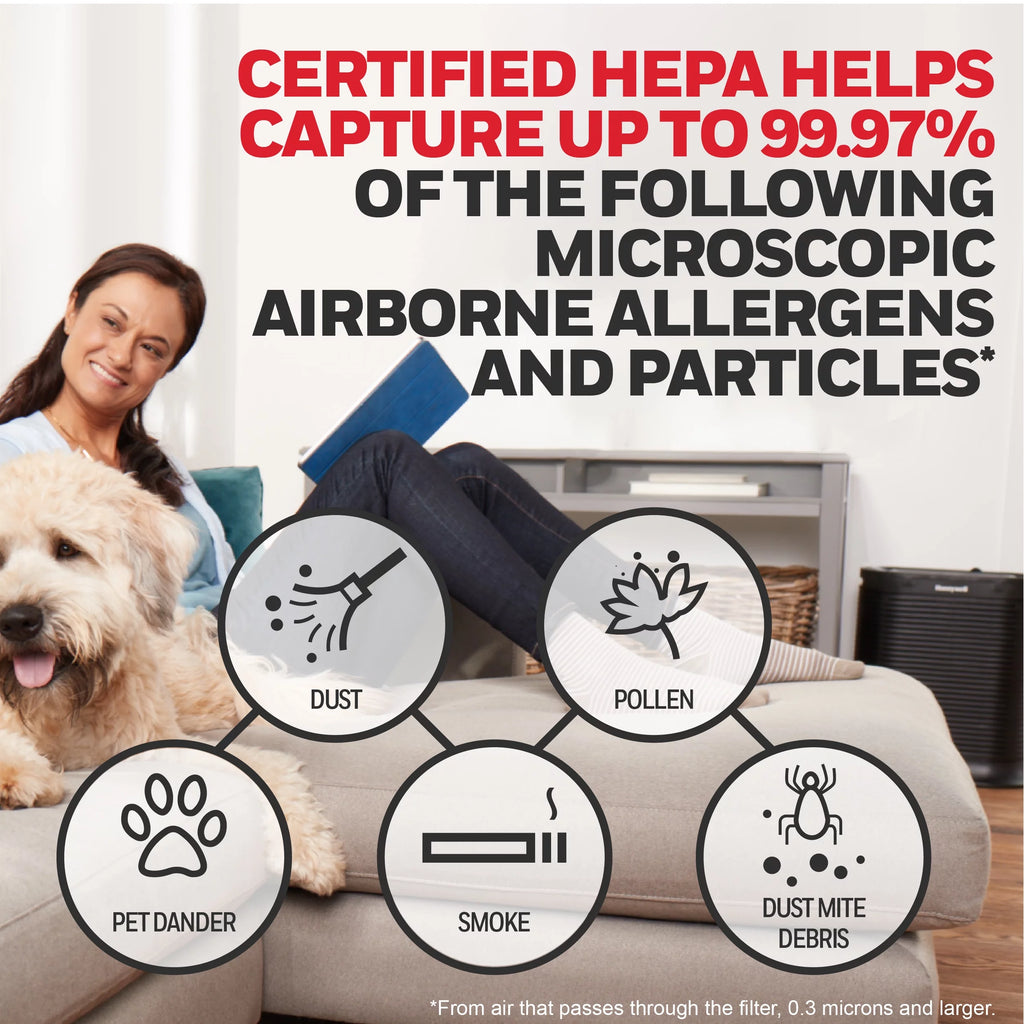 Air Purifier HEPA Filter 465 sq ft B3819