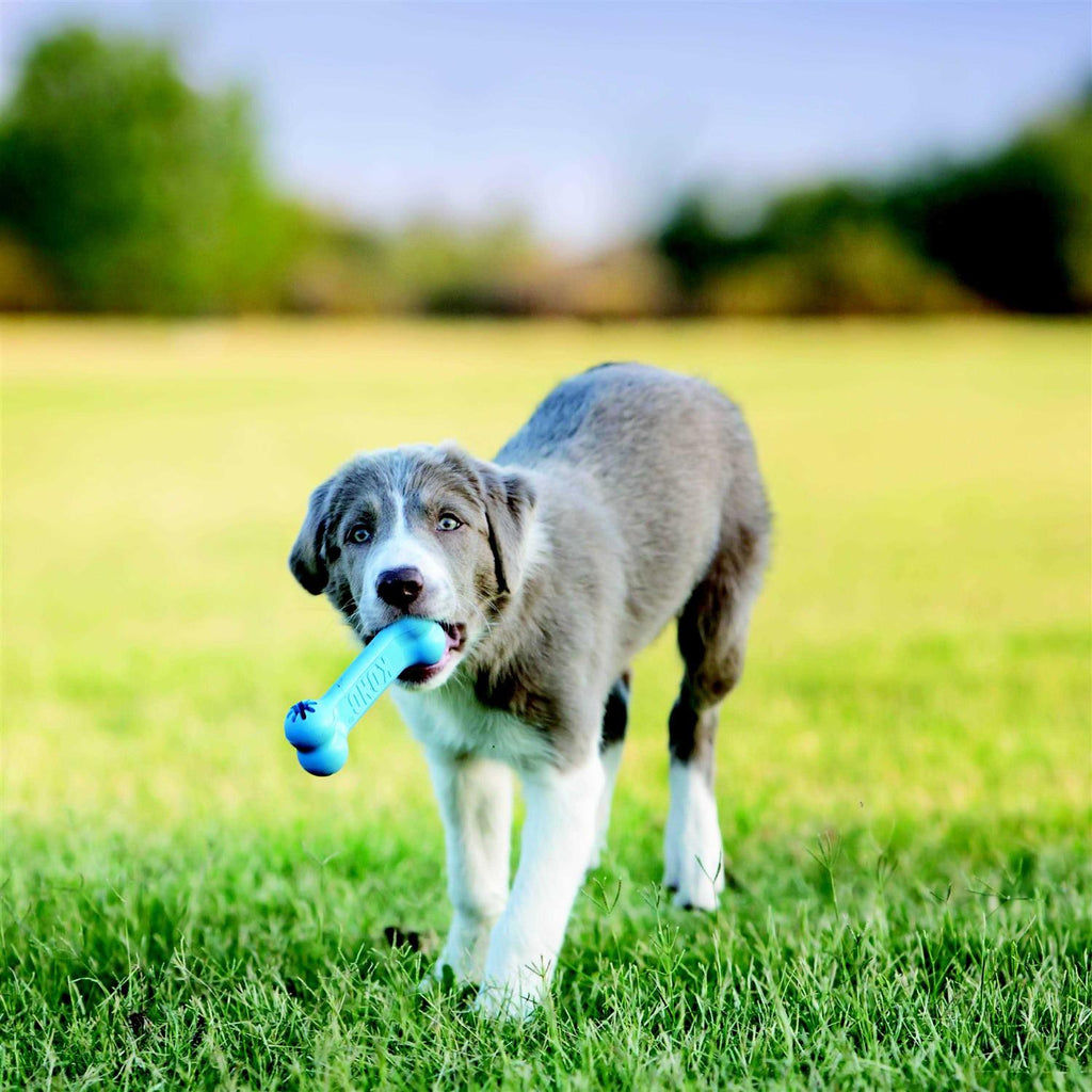 Puppy Toy S608835
