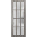 Frosted Glass 12 Lites Slab Barn Door Panel Y926444