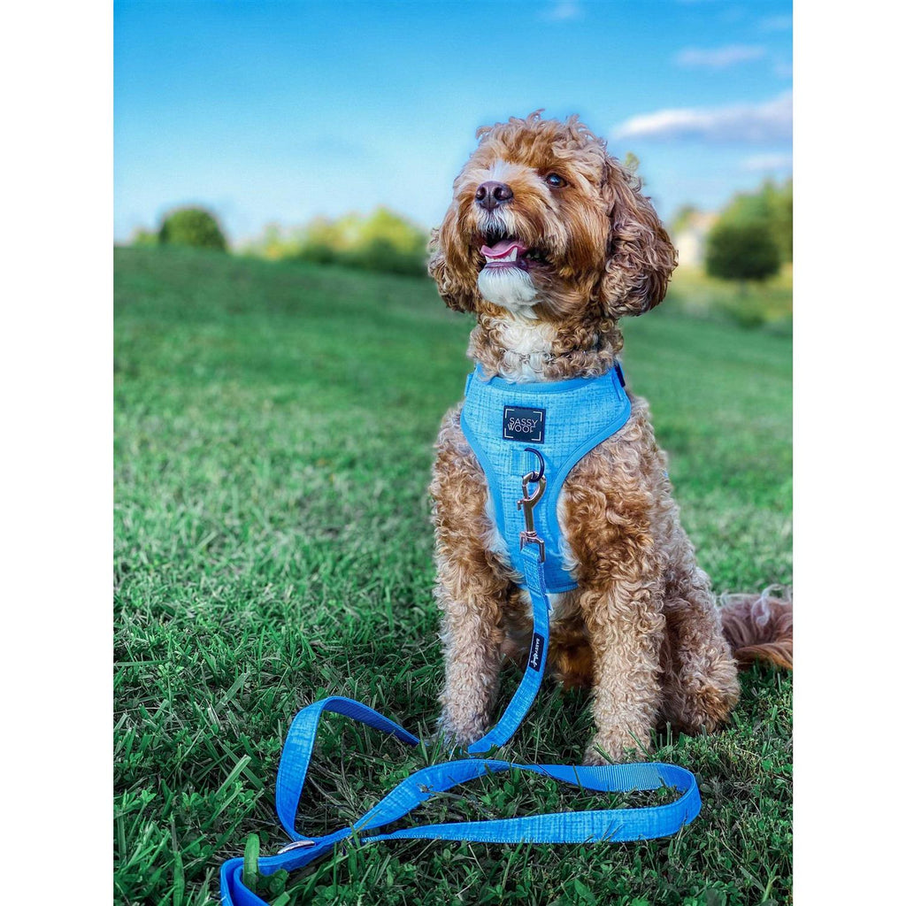 Adjustable Harness S11822