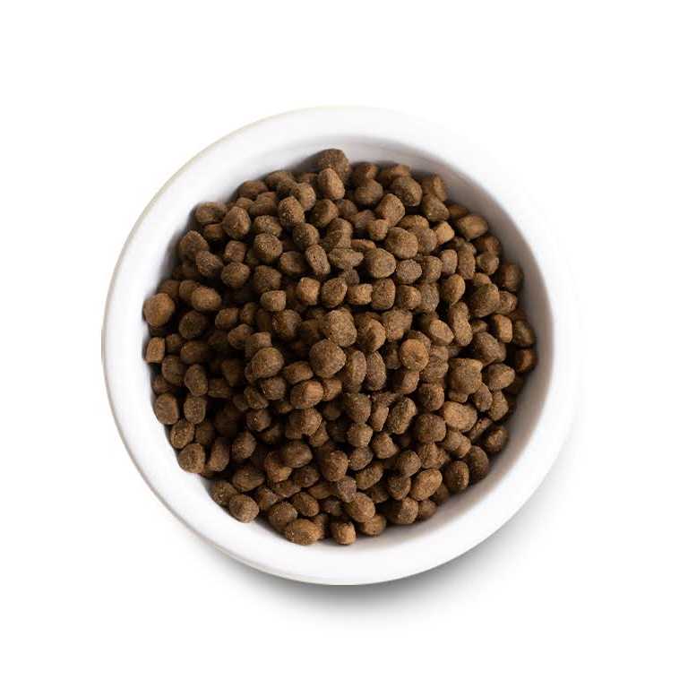 Chicken Ancient Grains Dry Dog Food X6402