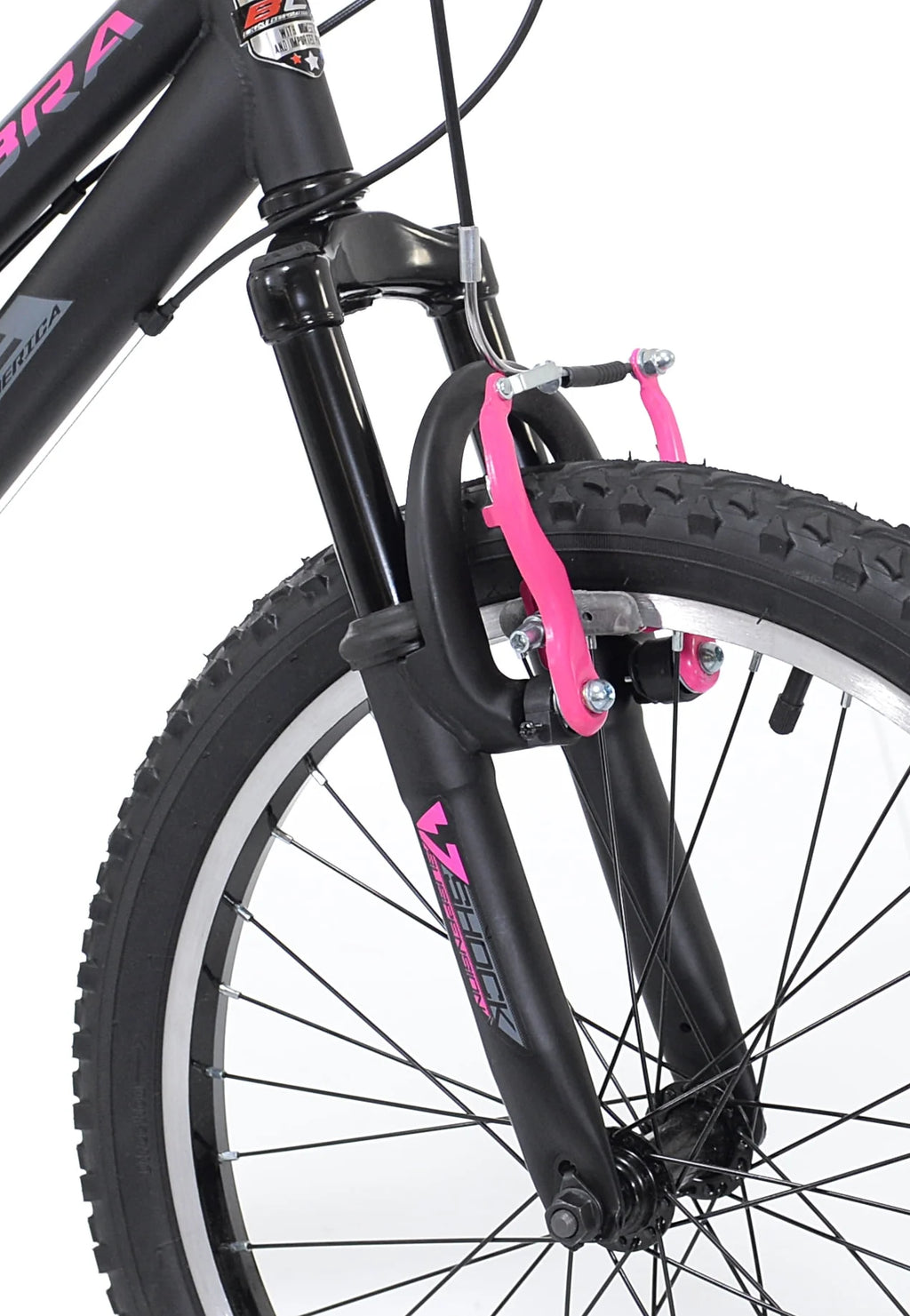 20-inch Girl's Mountain Bicycle C430