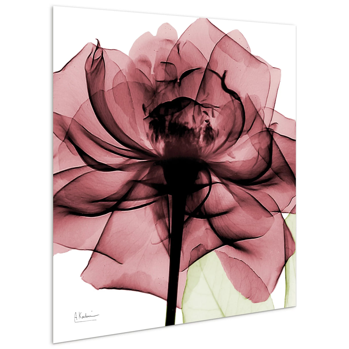 Tempered Glass Panel Wall Art, 24" x 24" K800