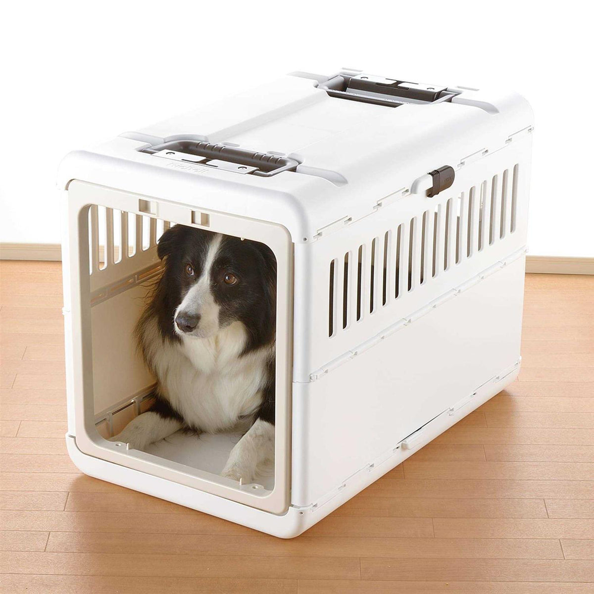 Foldable Pet Carrier X661